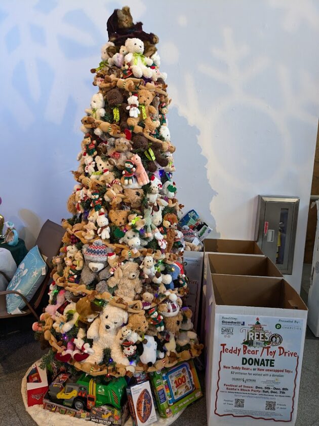 2024 bear tree. PHOTO PROVIDED